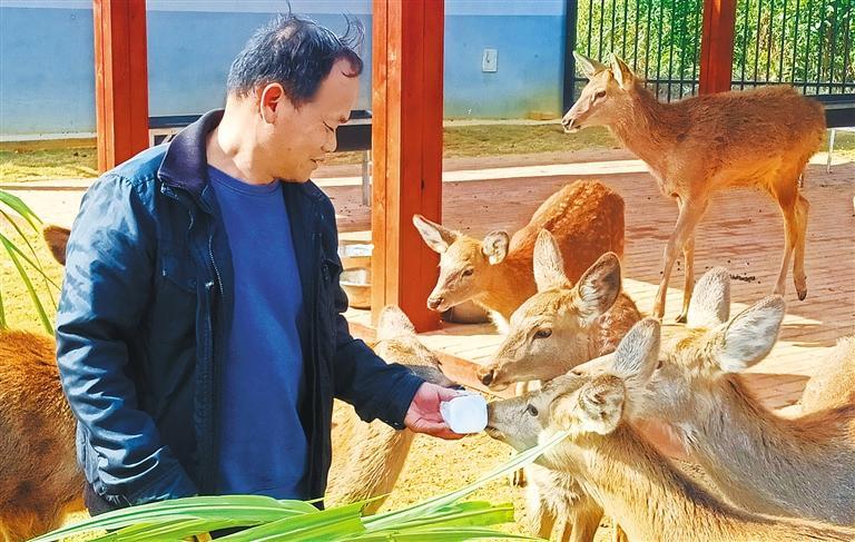 质量发展产业调研】林下生金不朽情缘平台登录网页【高(图3)